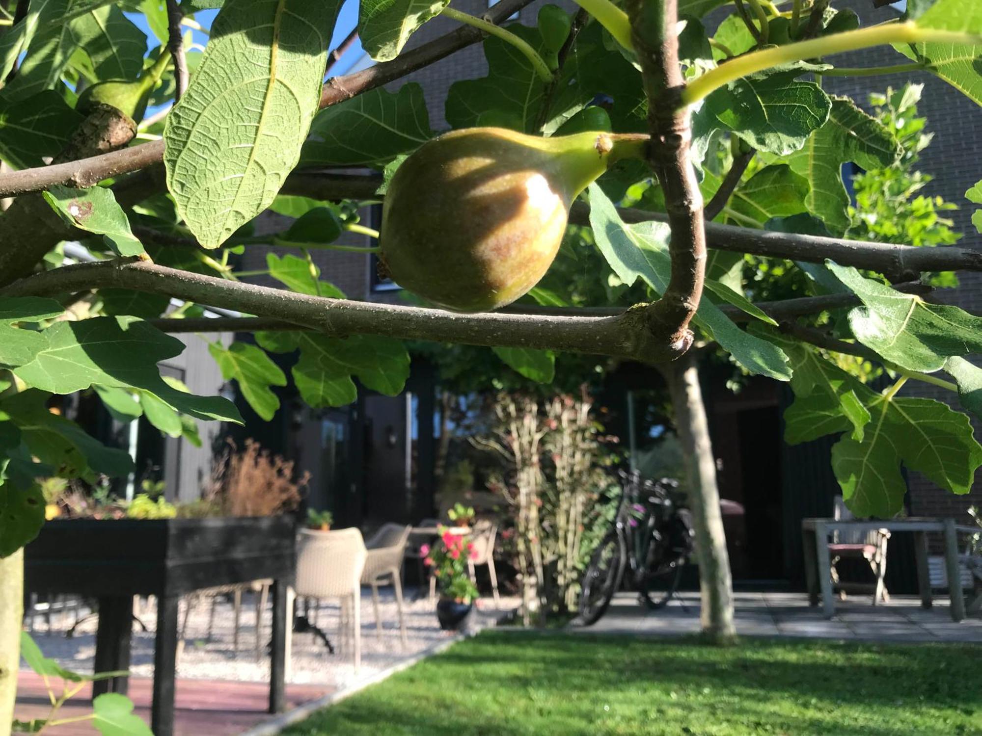 B&B De Pastorie Bij Dokkum Reitsum Esterno foto