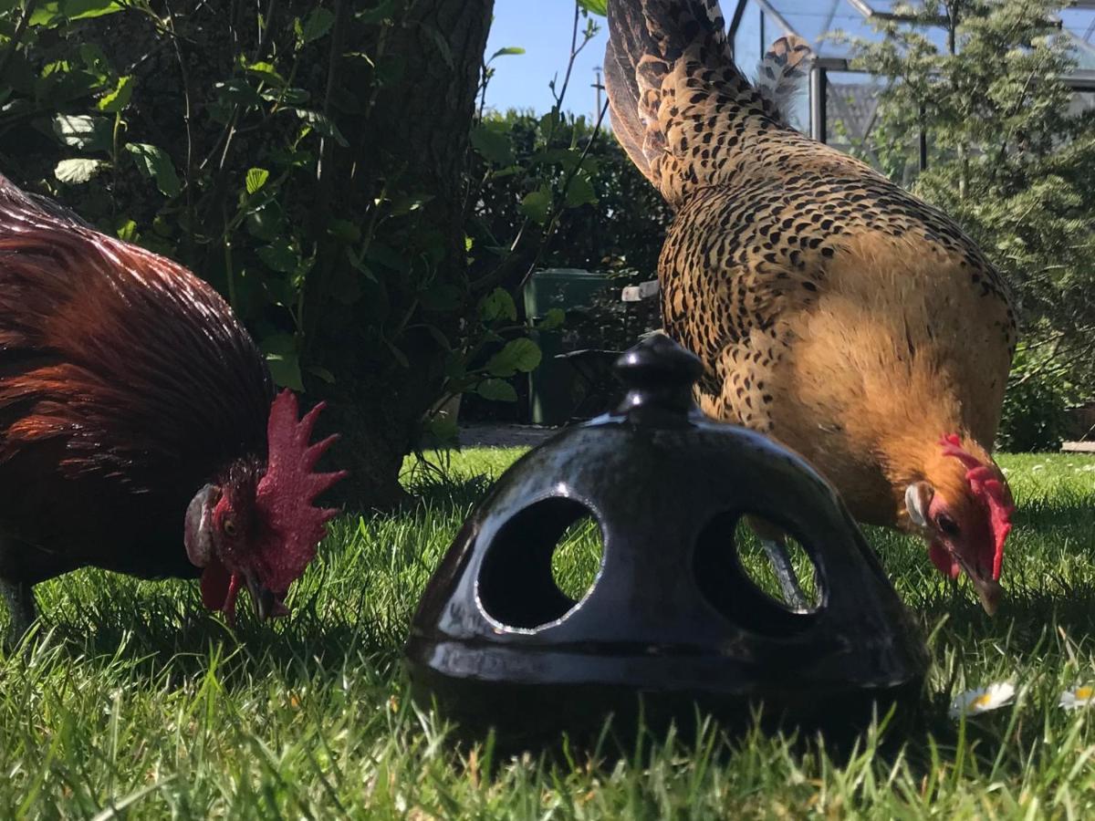 B&B De Pastorie Bij Dokkum Reitsum Esterno foto